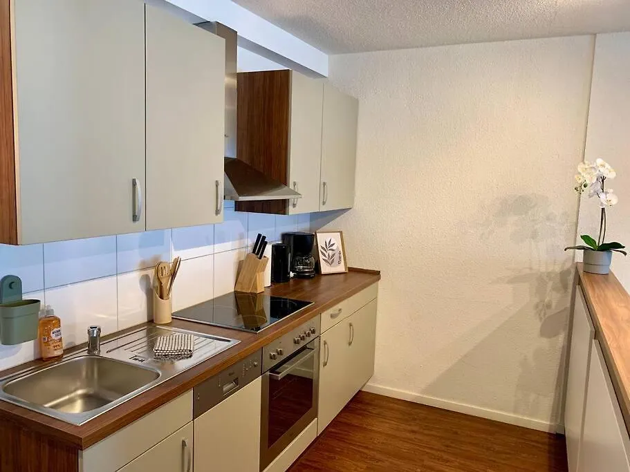 Cozy Studio Apartment City Heart - 32 Basel