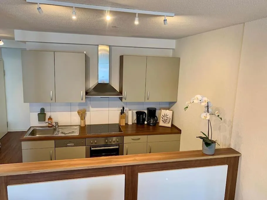 Cozy Studio Apartment City Heart - 32 Basel